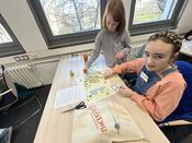 Bild 7